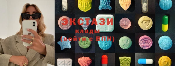 дживик Вязьма