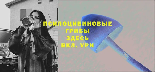 спиды Володарск