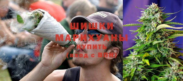 дживик Вязьма