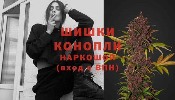 дживик Вязьма