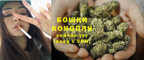 ECSTASY Вяземский