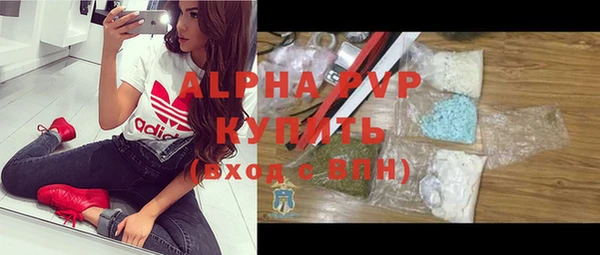 дживик Вязьма