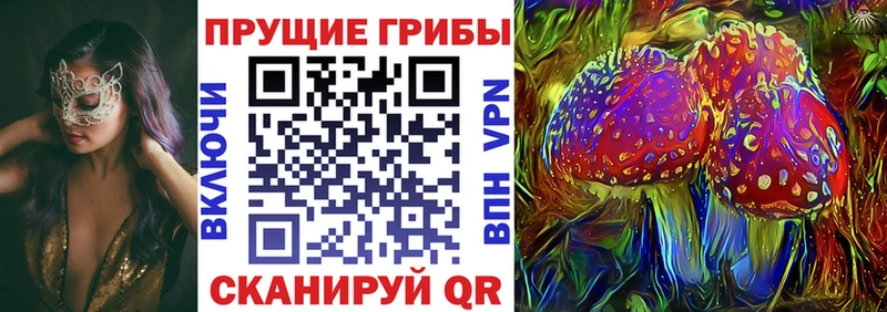 Галлюциногенные грибы ЛСД  купить  цена  Зима 