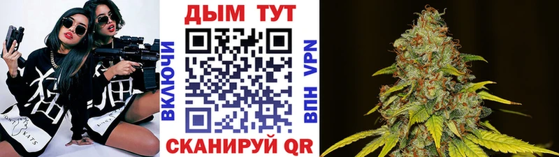 Бошки марихуана SATIVA & INDICA  сколько стоит  сайты даркнета формула  Зима 